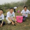 Tree Planting team